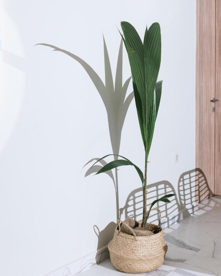 Arbona Apartment Ι Vóroi Exteriér fotografie